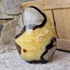 SEPTARIA