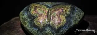 OBSIDIENNE MENTOGOCHOL INFORMATIONS