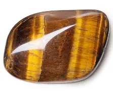 ŒIL DE TIGRE