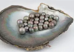 PERLE
