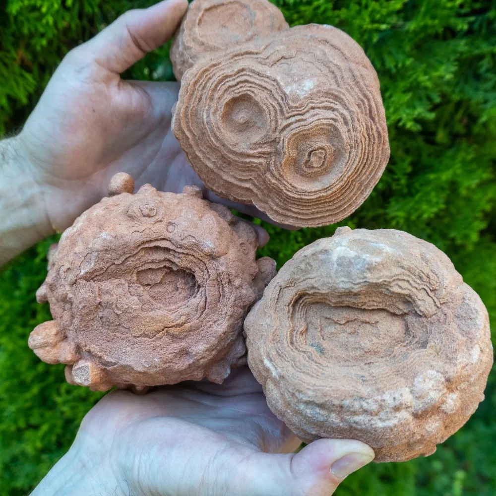STROMATOLITE