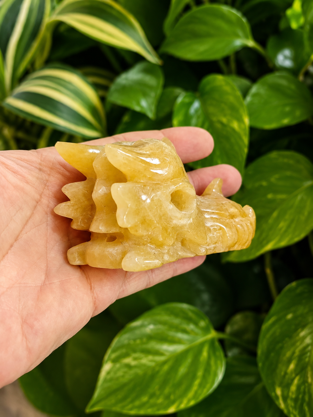 Tête de dragon en aventurine orange