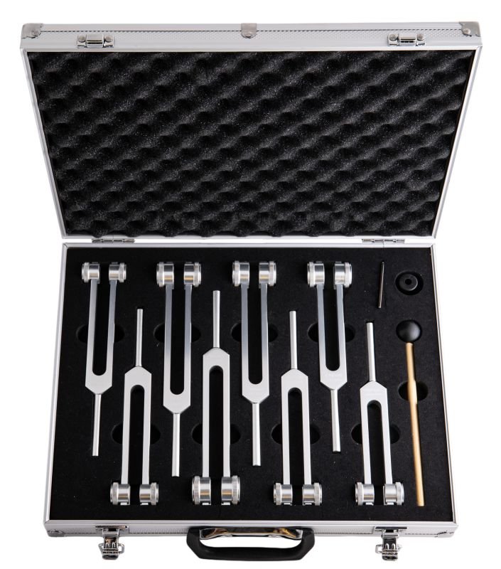 Ensemble de diapasons avec valise -SO2608-001